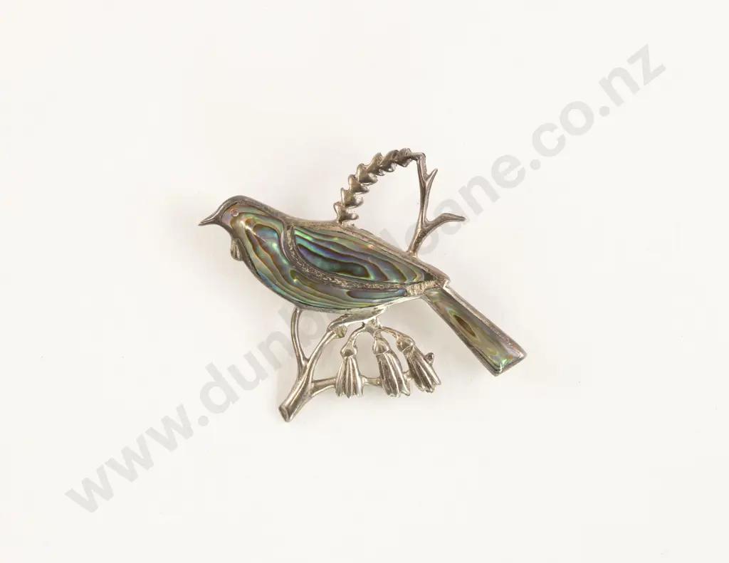 NZ S/S and Paua Tui Brooch Image 1++