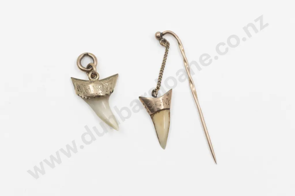 9ct Gold Mounted Shark Tooth Stick Pin and Pendant Image 1++