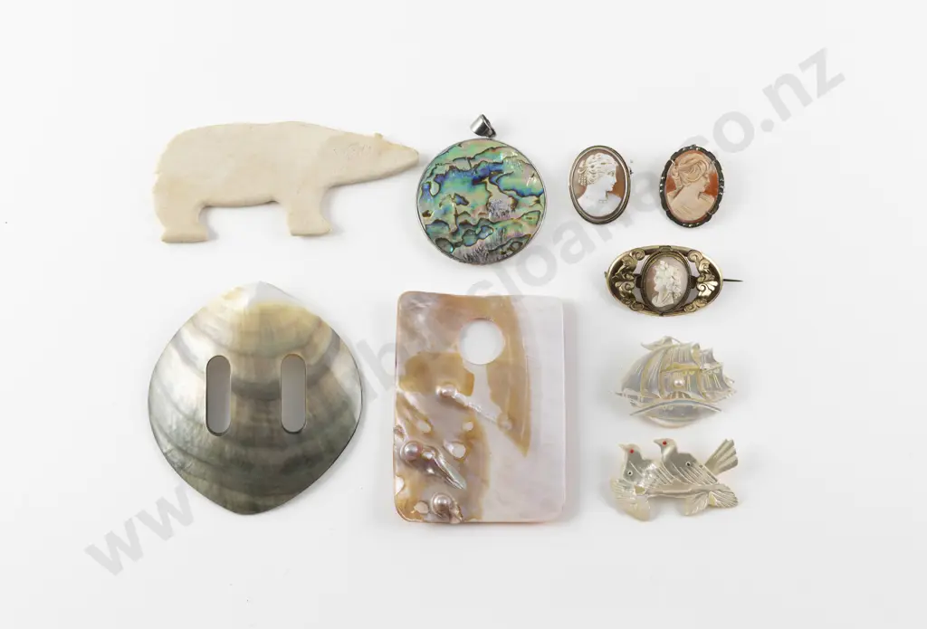 MOP and Paua Jewellery Image 1++