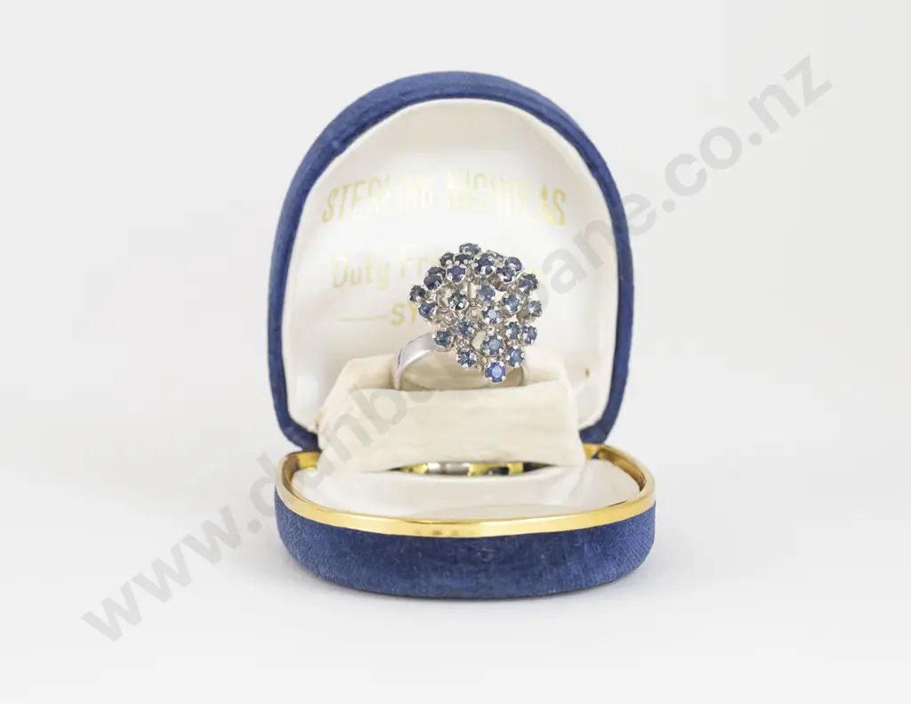 14ct White Gold 29stone Sapphire Princess Type Cluster Ring Image 1++