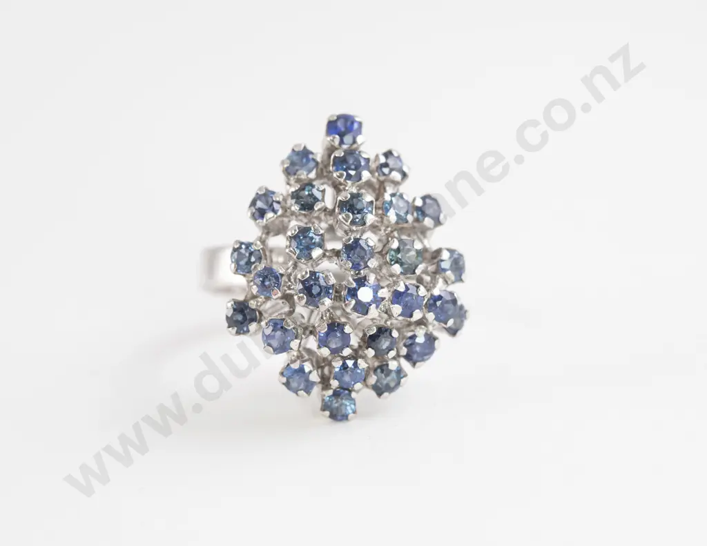 14ct White Gold 29stone Sapphire Princess Type Cluster Ring Image 1++