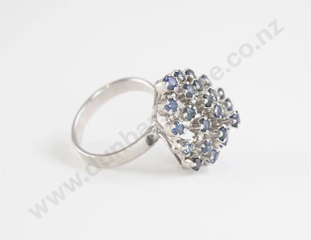 14ct White Gold 29stone Sapphire Princess Type Cluster Ring Image 1++
