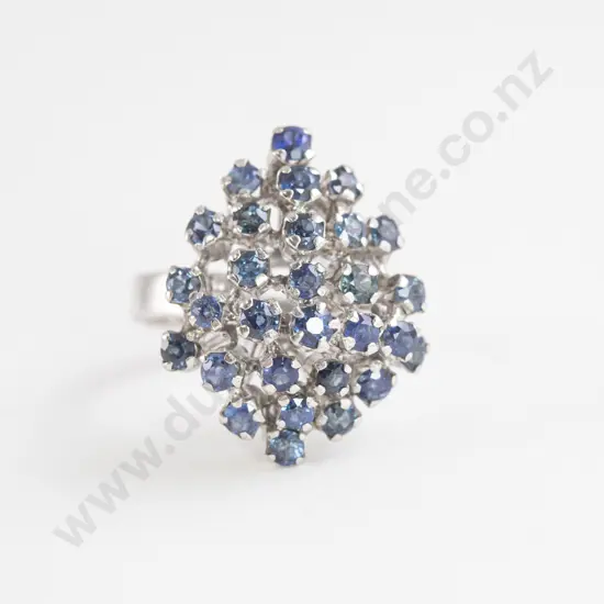 14ct White Gold 29stone Sapphire Princess Type Cluster Ring