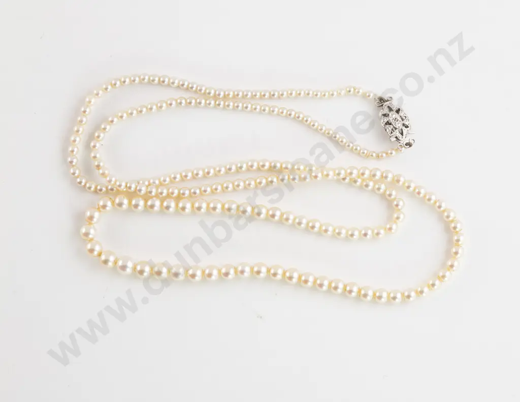 Single Strand Graduated Cultured Pearl Necklace Image 1++