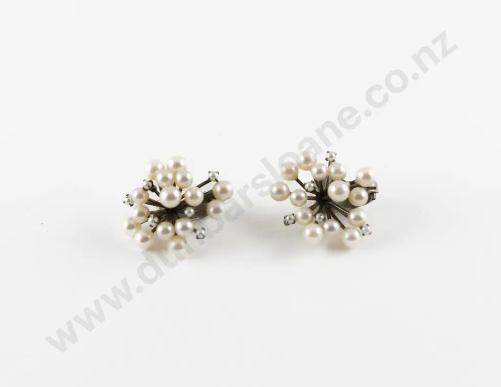 Pair Silver Cultured Pearl Dress Earrings Image 1++