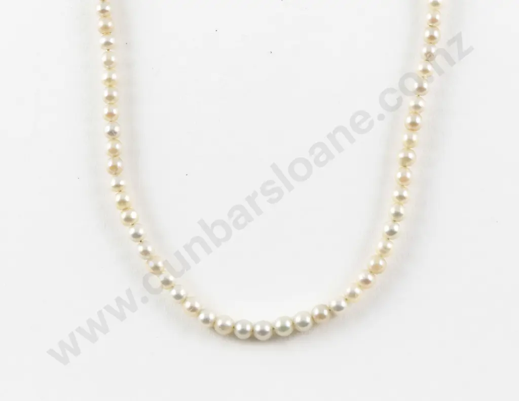 Vintage Single Strand Uniform Cultured Pearl Necklace Image 1++