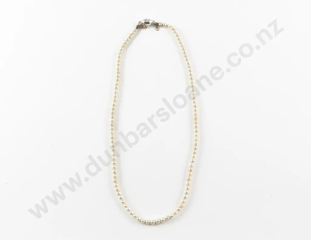 Vintage Single Strand Uniform Cultured Pearl Necklace Image 1++