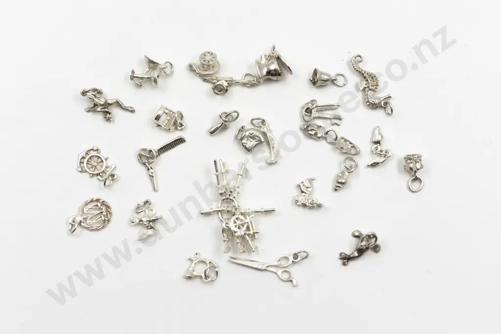Collection 26 Silver Charms Image 1++