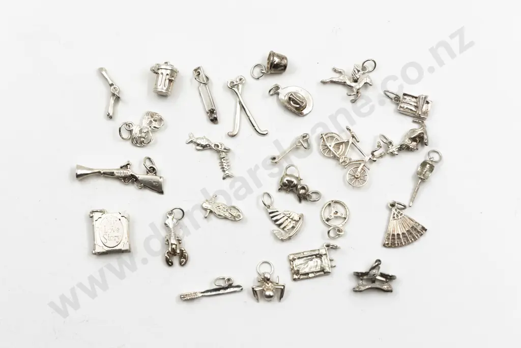 Collection 26 Silver Charms Image 1++