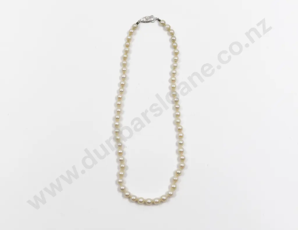 Single Strand Uniform Cultured Pearl Necklace Image 1++