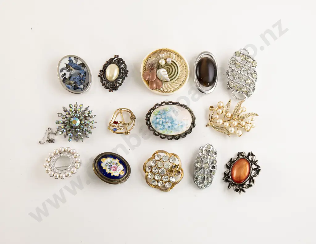 Small Collection Costume Jewellery Brooches Image 1++