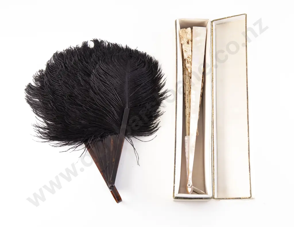 Antique Original Boxed MOP and Lace Fan Image 1++