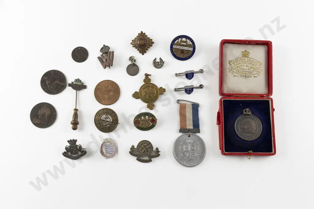 Collection Mainly NZ Military Badges Image 1++