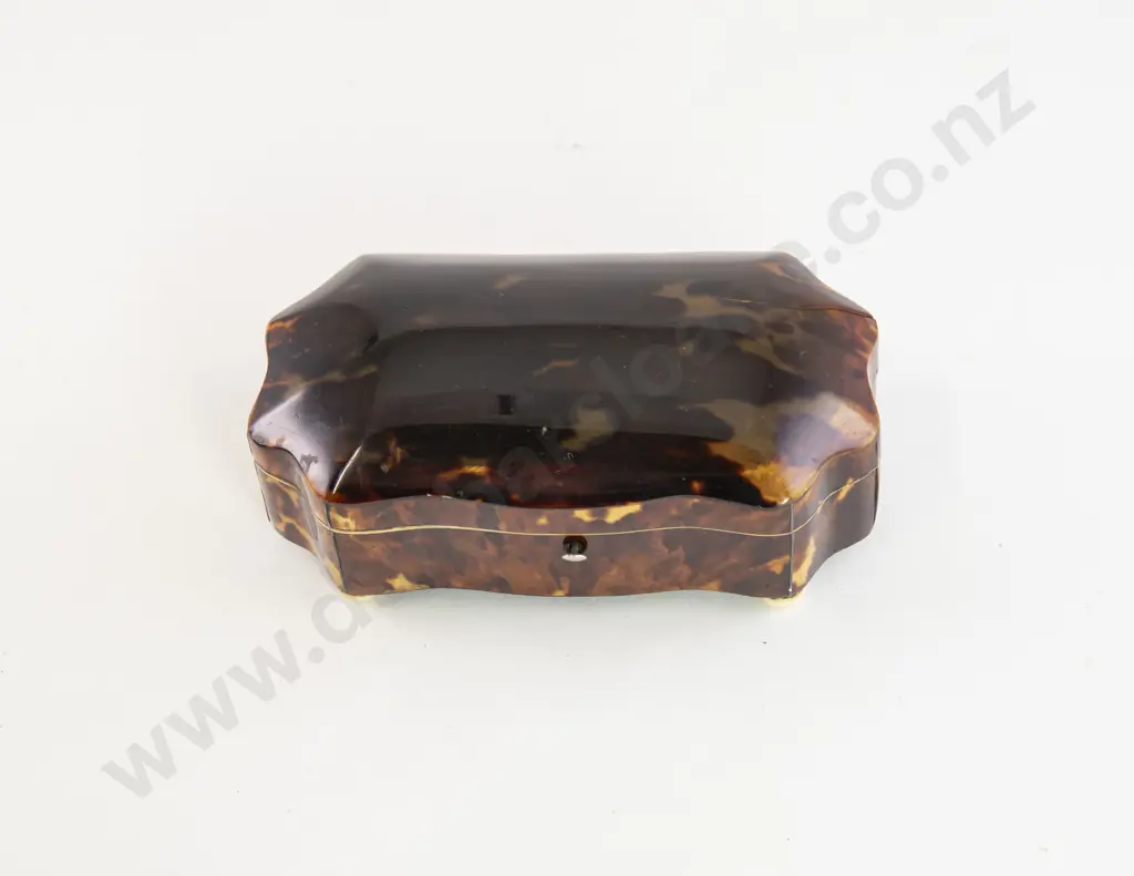 Victorian Tortoise Shell Shaped Rectangular Jewel Box Image 1++