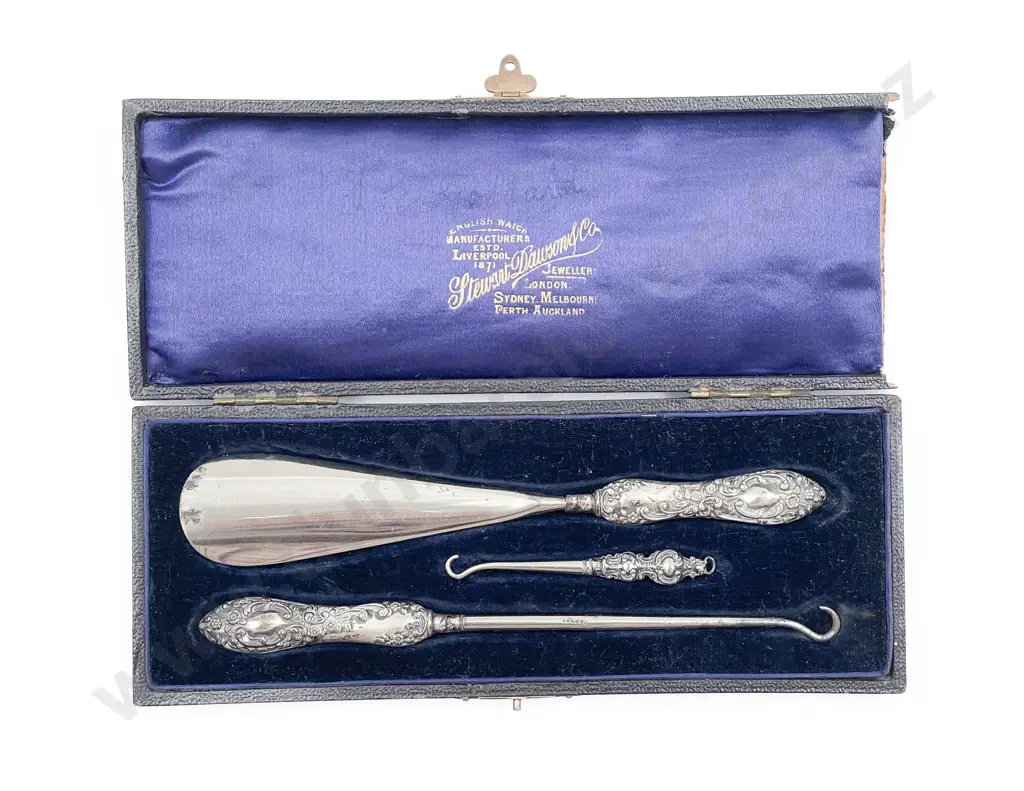 Cased S/S Handled Shoe Horn & Button Hooks Image 1++
