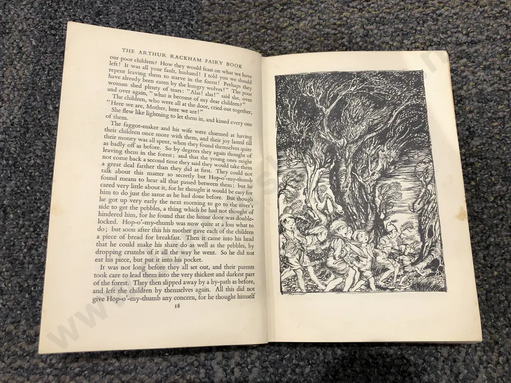 The Arthur Rackham Fairy Book Image 1++