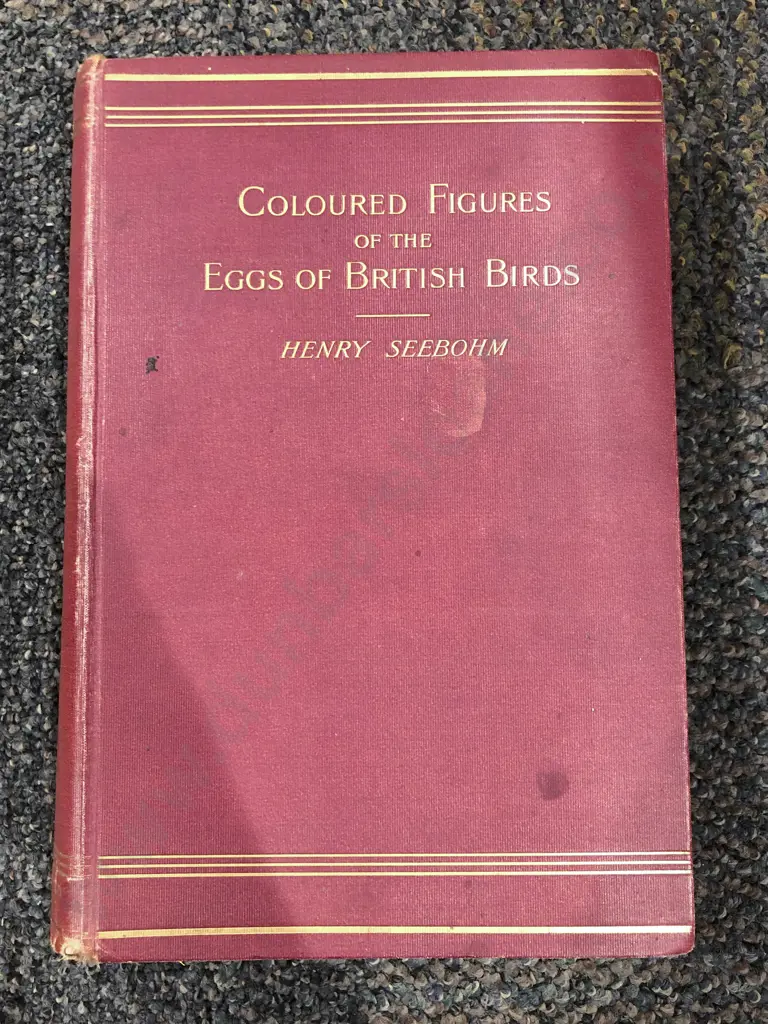 Coloured Figures of the Eggs of Brutish Birds by Henry Seebohn Image 1++