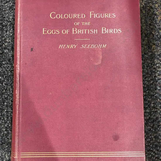 Coloured Figures of the Eggs of Brutish Birds by Henry Seebohn