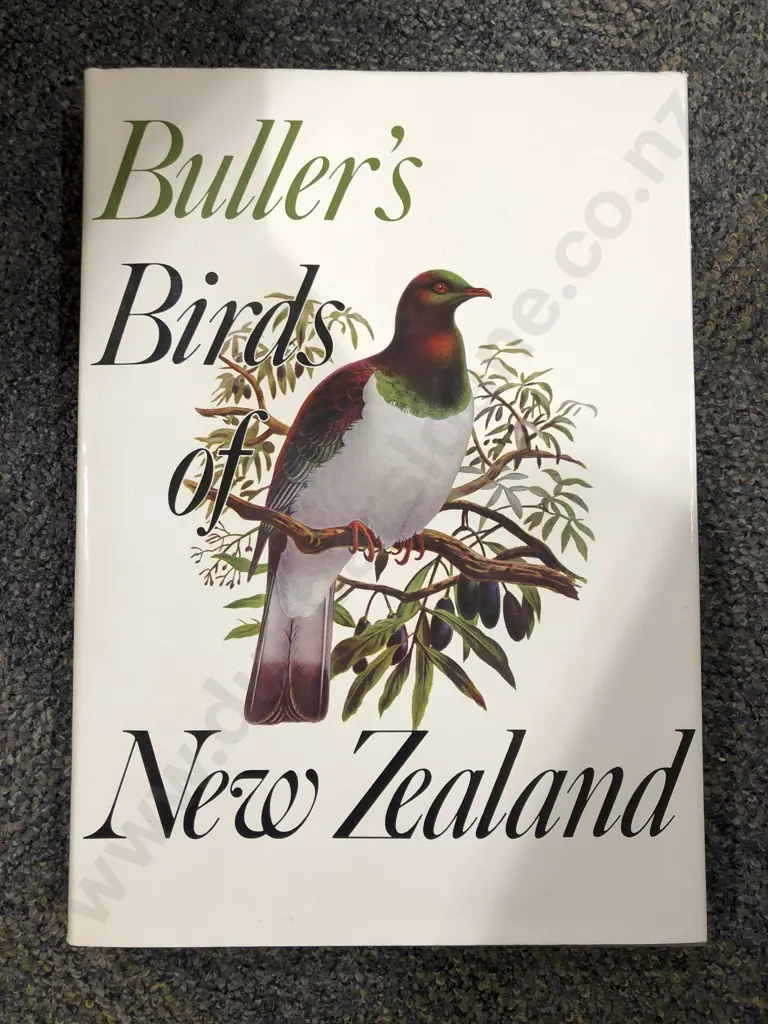 Buller's Birds of New Zealand Image 1++