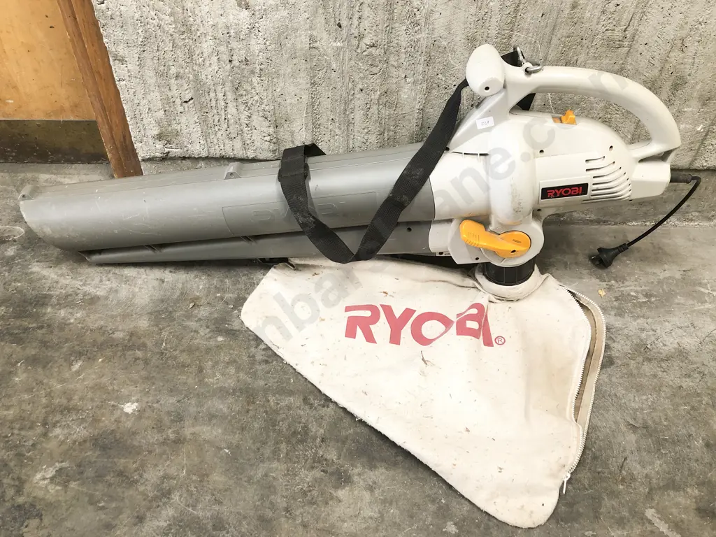 Ryobi Leaf Blower/Mulcher Image 1++