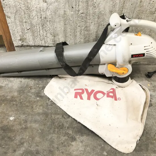 Ryobi Leaf Blower/Mulcher