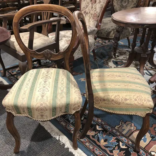 Pair of Victorian Balloon Back Chairs