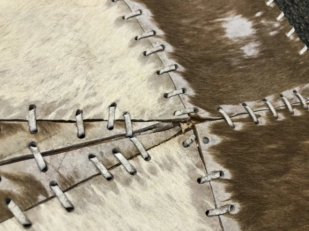 Circular Animal Hide Rug Image 1++