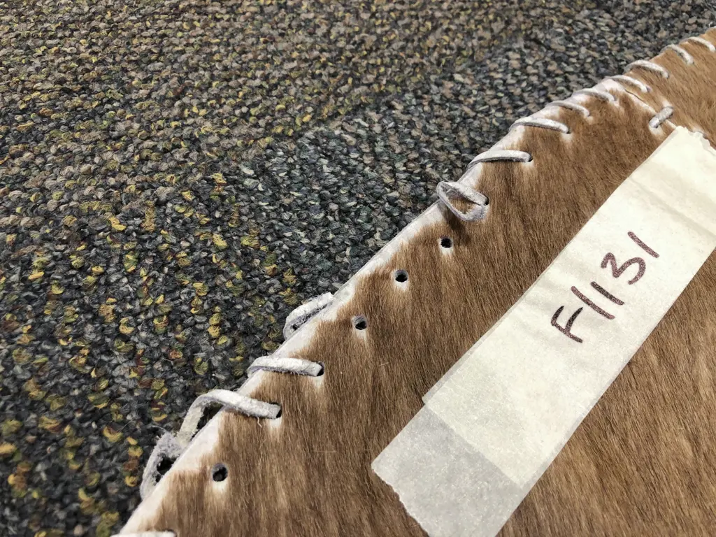 Circular Animal Hide Rug Image 1++