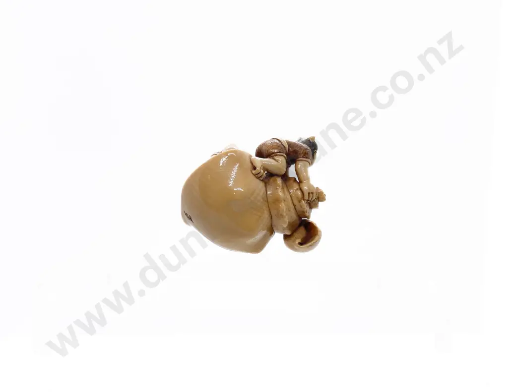 Signed and Stained Ivory Netsuke of a Two Demons on an Giant Conch Shell Image 1++
