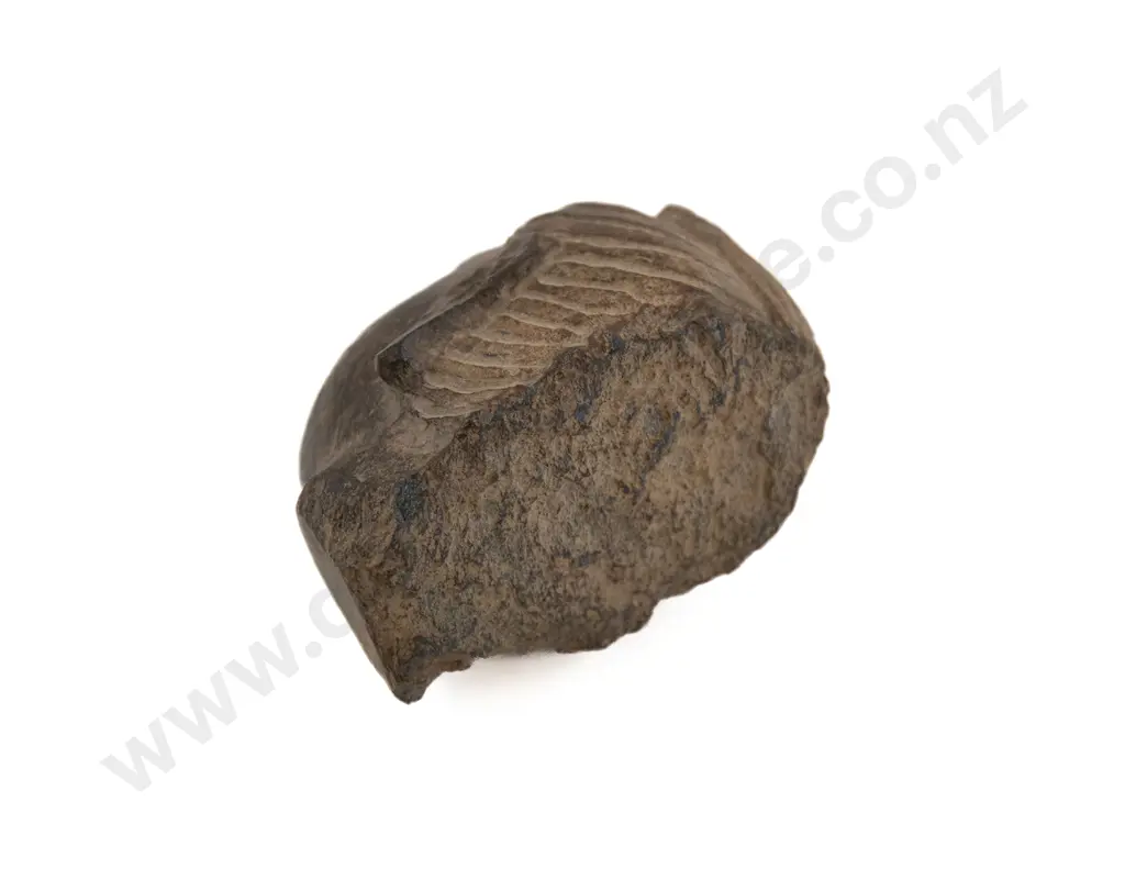 A Rare Indo-Parthia Period (First century Afghanistan) Stone Buddha Head Image 1++