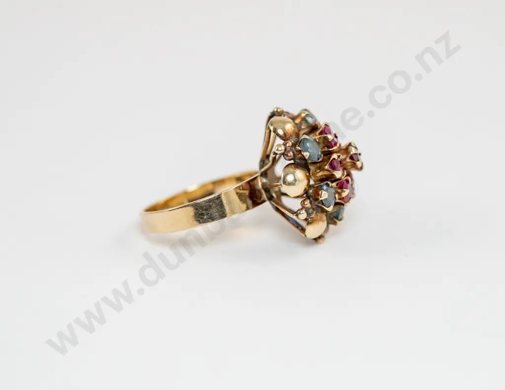 9ct Princess Design 13stone Ruby and Sapphire Dress Ring Image 1++