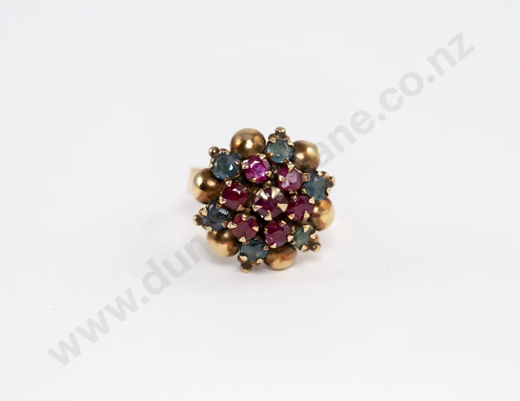 9ct Princess Design 13stone Ruby and Sapphire Dress Ring Image 1++