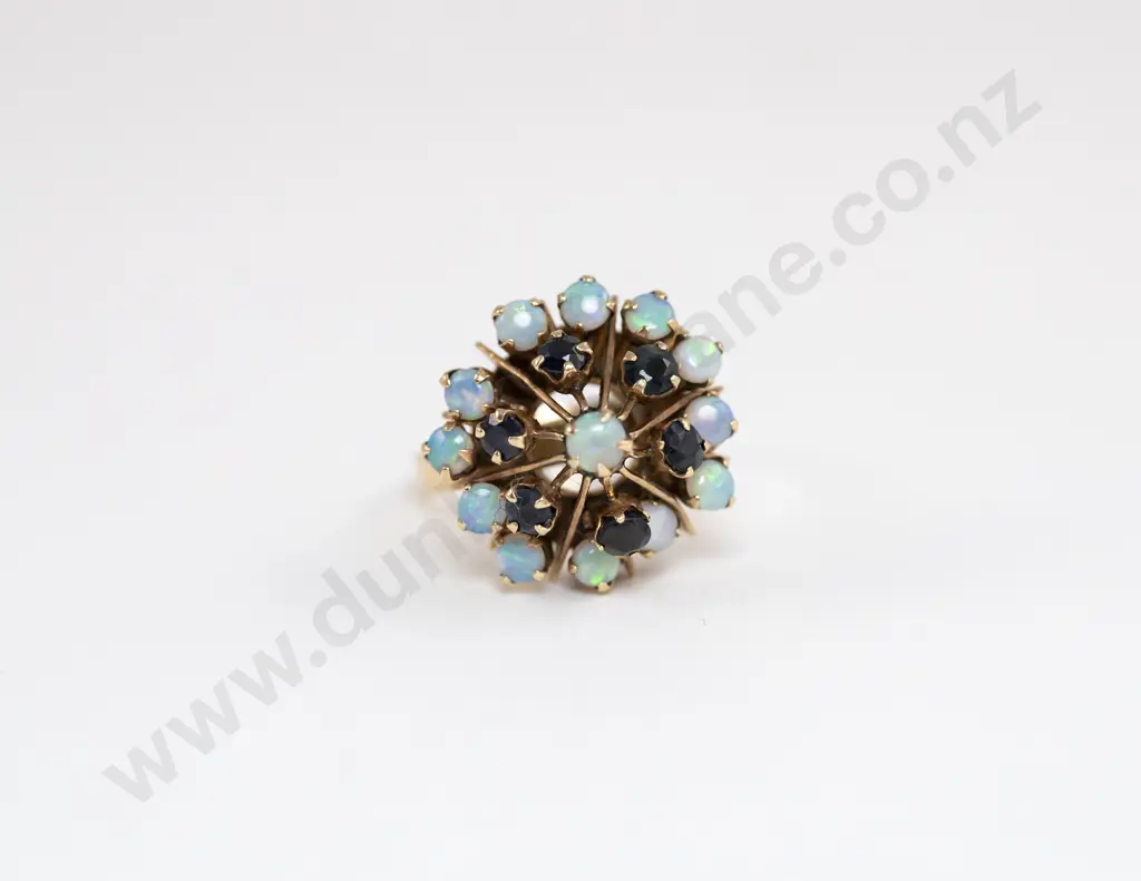9ct Princess Design 19stone Sapphire and Opal Dress Ring Image 1++