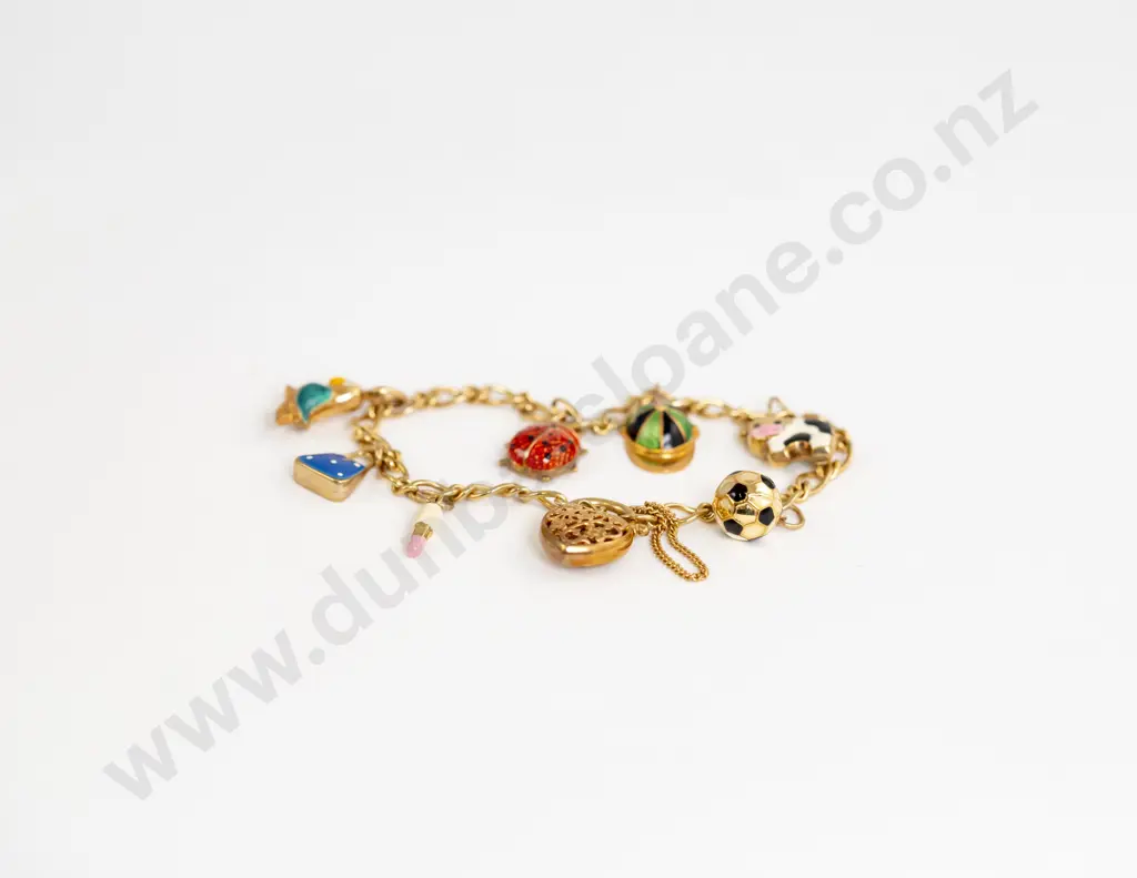 9ct Mixed Curb Link Charm Bracelet Image 1++