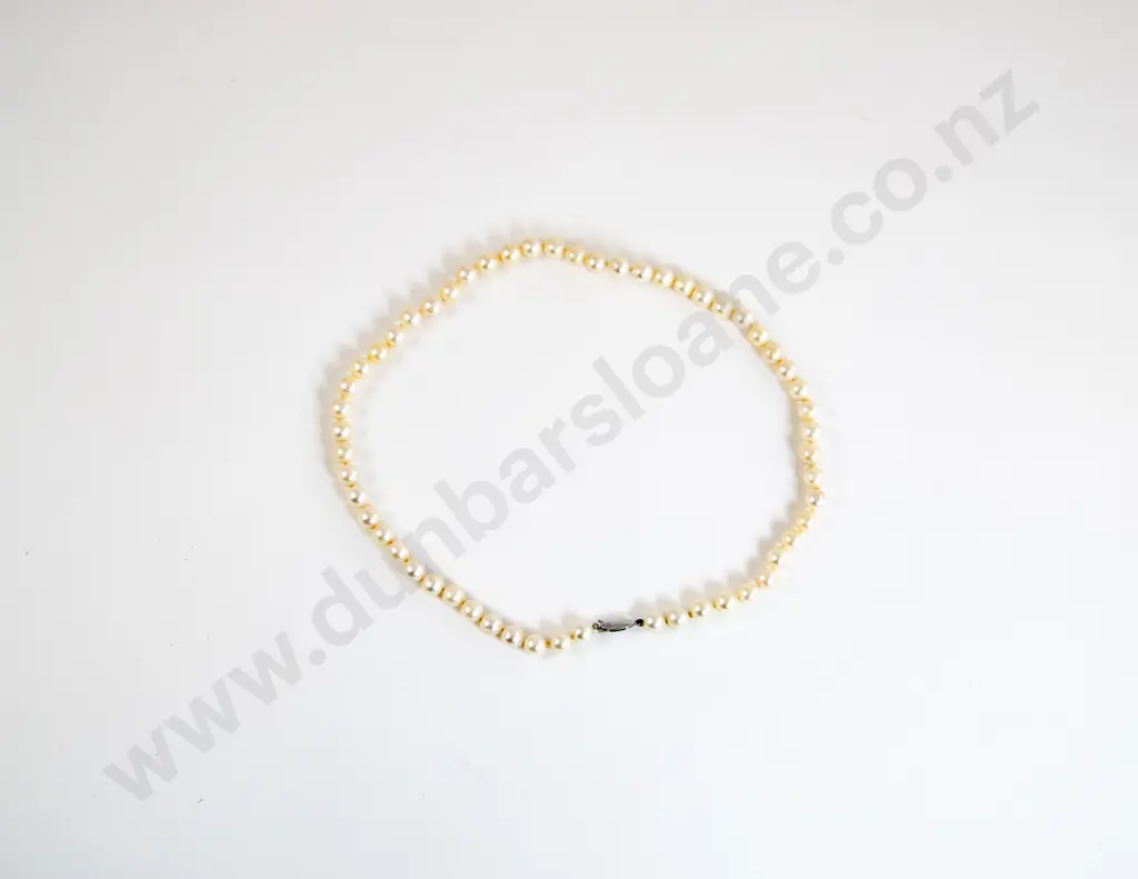 Single Strand Uniform Cultured Pearl Necklace Image 1++