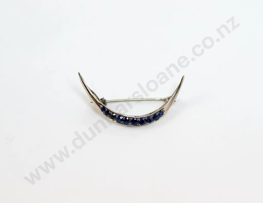9ct White Gold Ten Stone Sapphire Crescent Brooch Image 1++