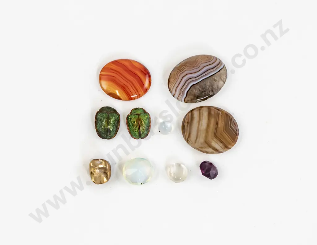 Various Unmounted Gems with Two Scarab Beetles Image 1++