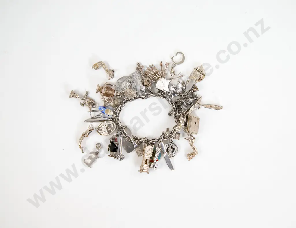 S/S Charm Bracelet with 17 Silver Charms and 10 S/Plate Charms Image 1++