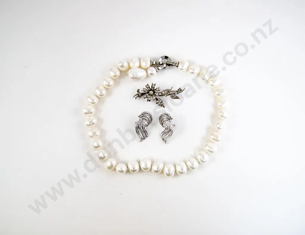 S/S Diamond Paste Floral Spray Brooch Image 1++