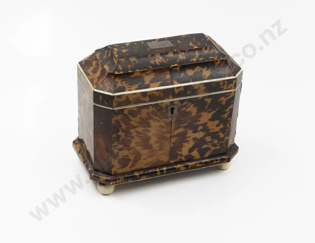 Geo III Tortoiseshell Tea Caddy Image 1++