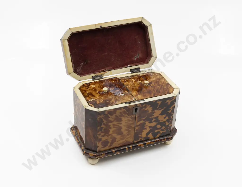 Geo III Tortoiseshell Tea Caddy Image 1++