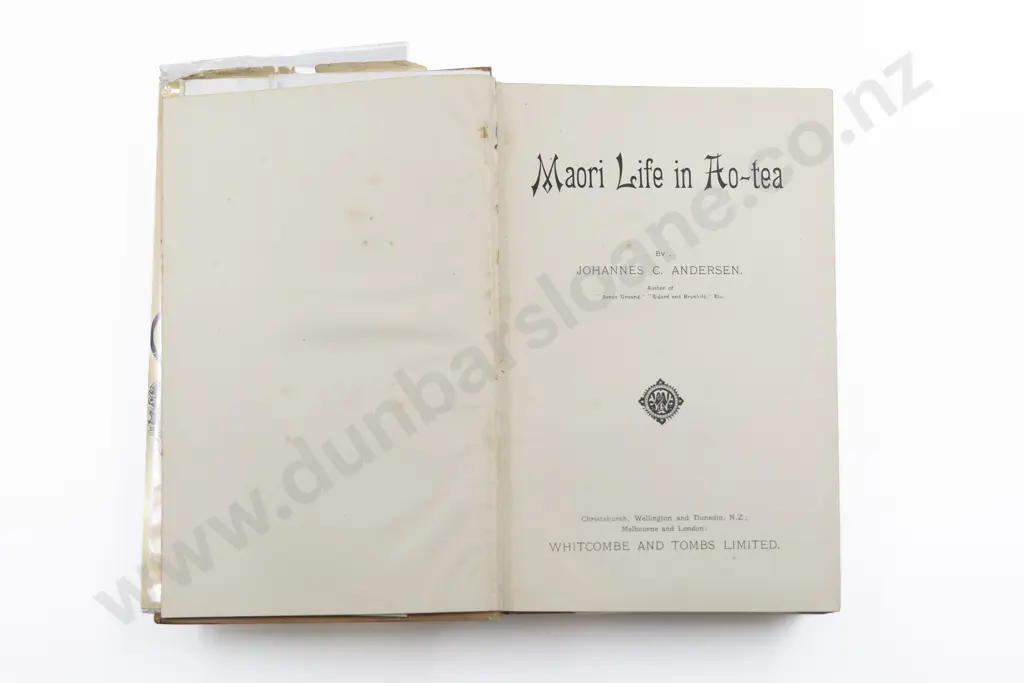 Andersen Jonannes C - Maori Life in Ao-tea Image 1++