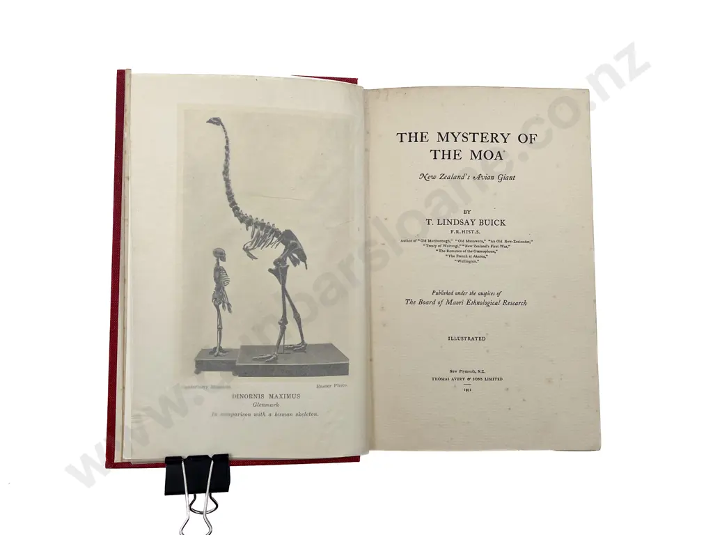 Buick T Lindsay - The Mystery Of The Moa New Zealands Avian Giant Image 1++