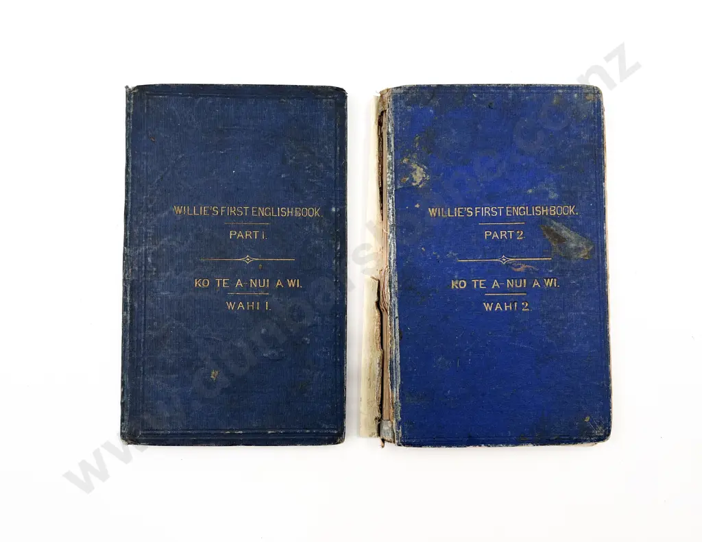 Colenso William - Willies First English Book Parts I & II Image 1++