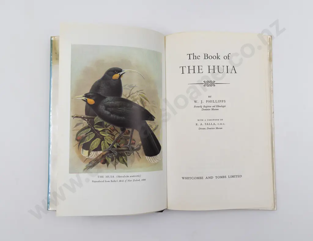 Phillipps W J - The Book of The Hui Image 1++