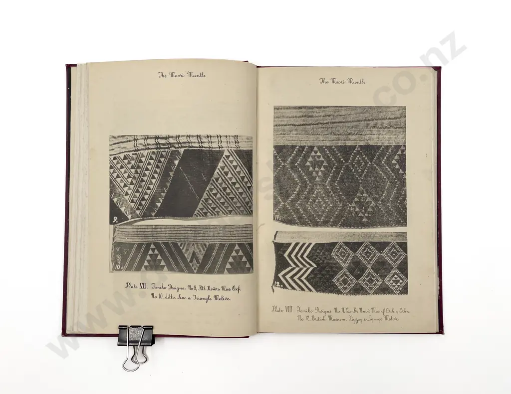 Roth Henry Ling - The Maori Mantle Image 1++