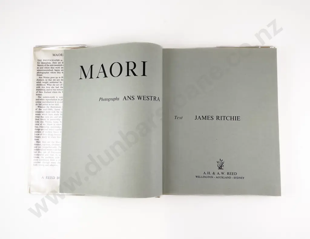 Westra Ans - Maori Image 1++