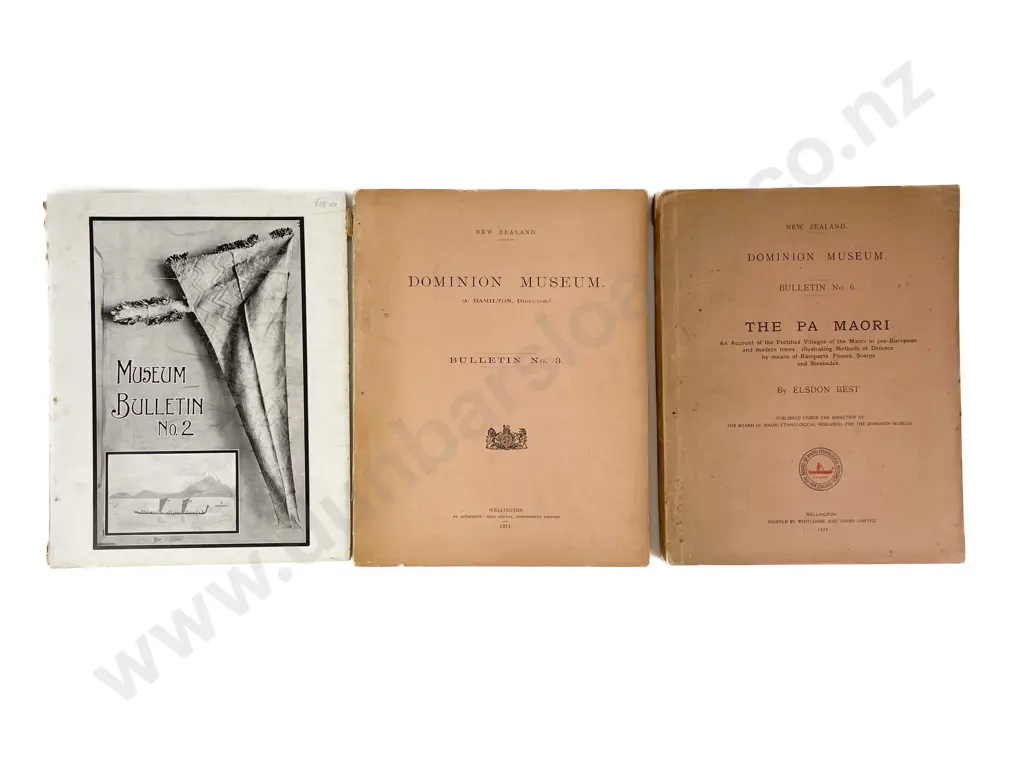 Dominion Museum Bulletin No2 Image 1++