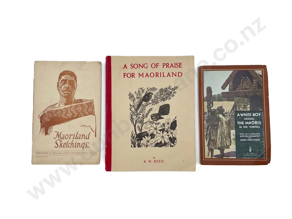 3 Maori Booklets Image 1++