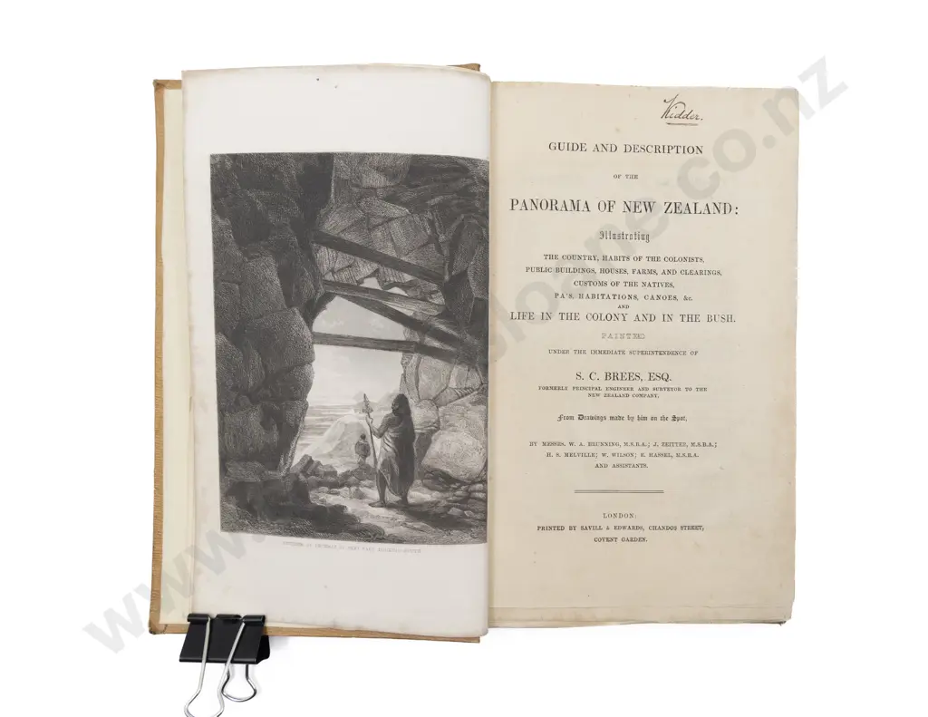Brees Sameul Charles - Guide And Description of the Panorama Of New Zealand Image 1++